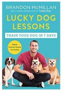 best dog training books for dog lessons