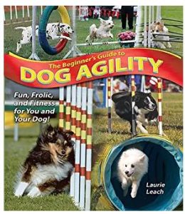 best dog training books for older dogs