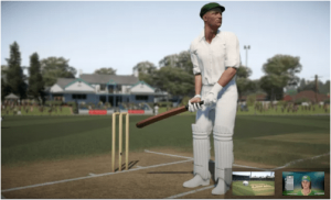 cricket pc games