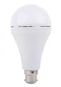 led inverter bulb